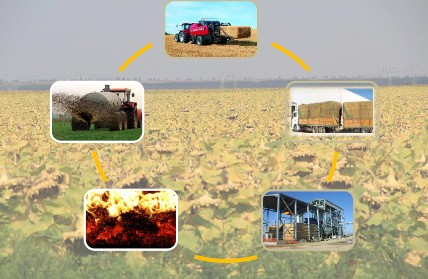 agro-biomass agropower energy